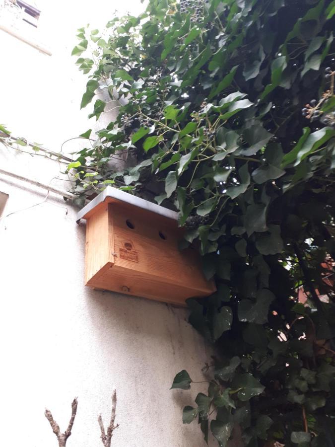 Le Nichoir Aux Oiseaux Lägenhet Paris Exteriör bild